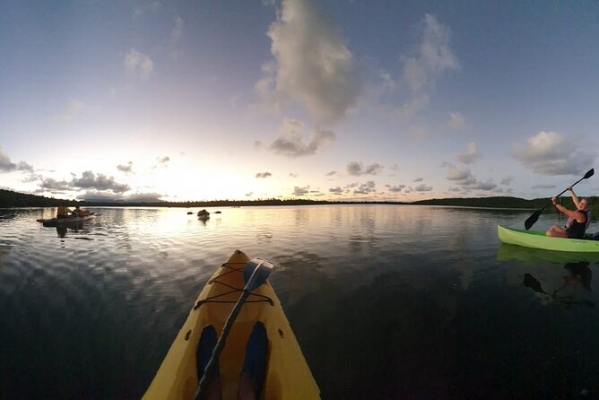Fajardo Bioluminescent Bay Night Kayak Adventure from San Juan - San Juan to Fajardo: the ride matters more than you think