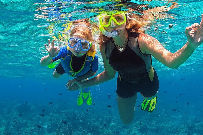 Fajardo, Puerto Rico: Morning Snorkeling Beach Tour - Timing and Meeting Point: Avoid the Classic Snorkel Trip Trap