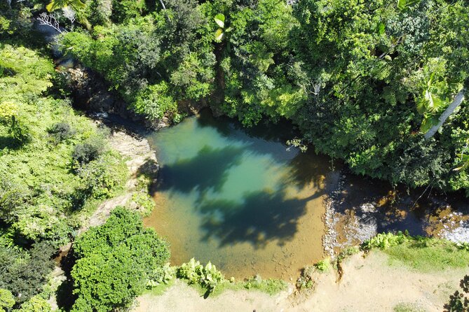 Famous Guavate Pork Road & Charco Azul Food & River Tour - Guavate’s Pig Road Roast Pig: What You’ll Eat and Why It Matters