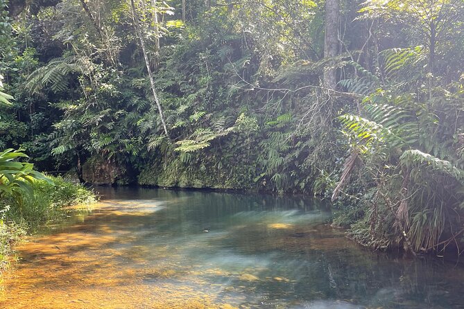 Famous Guavate Pork Road & Charco Azul Food & River Tour - Price and Value: Is $110 Worth It?