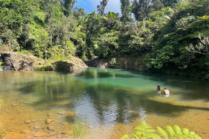 Famous Guavate Pork Road & Charco Azul Food & River Tour - Who This Tour Suits Best (and Who Might Reconsider)