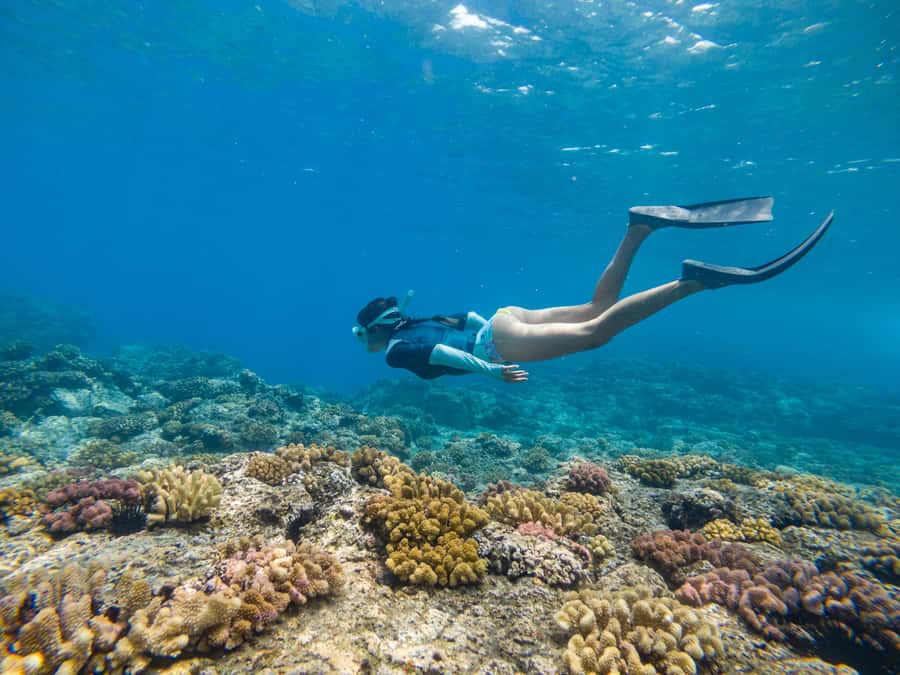 From Fajardo: Boat and Snorkeling in Culebra Island with All-Inclusive - Key Things I’d Pay Attention To