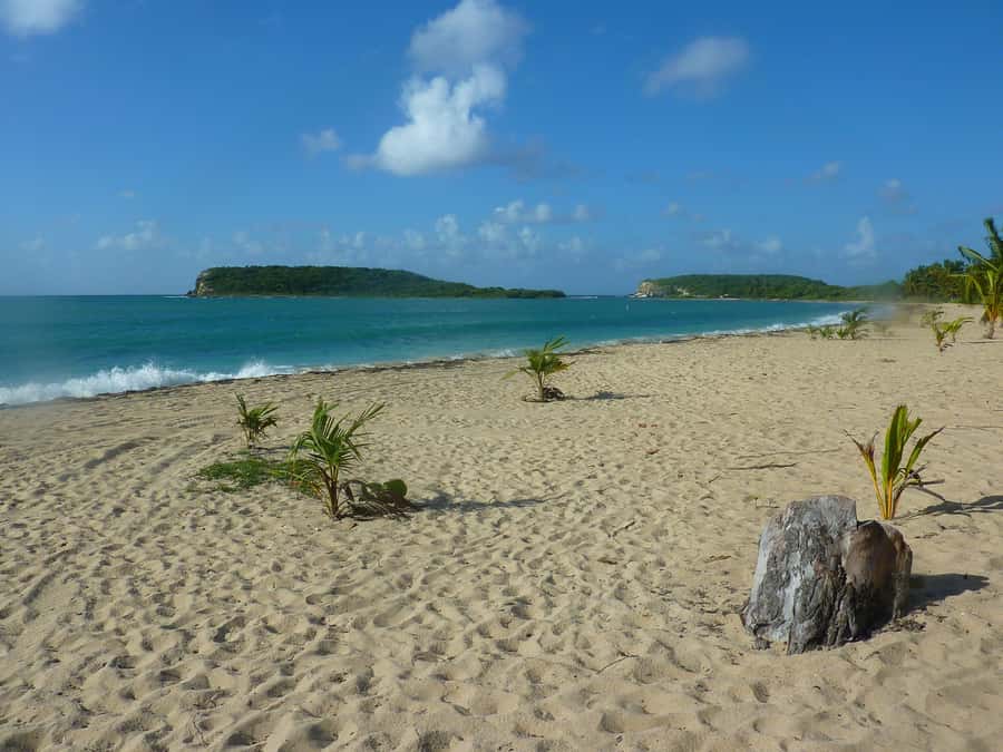 From Fajardo: Boat and Snorkeling in Culebra Island with All-Inclusive - Who This Tour Suits (and Who Should Skip It)