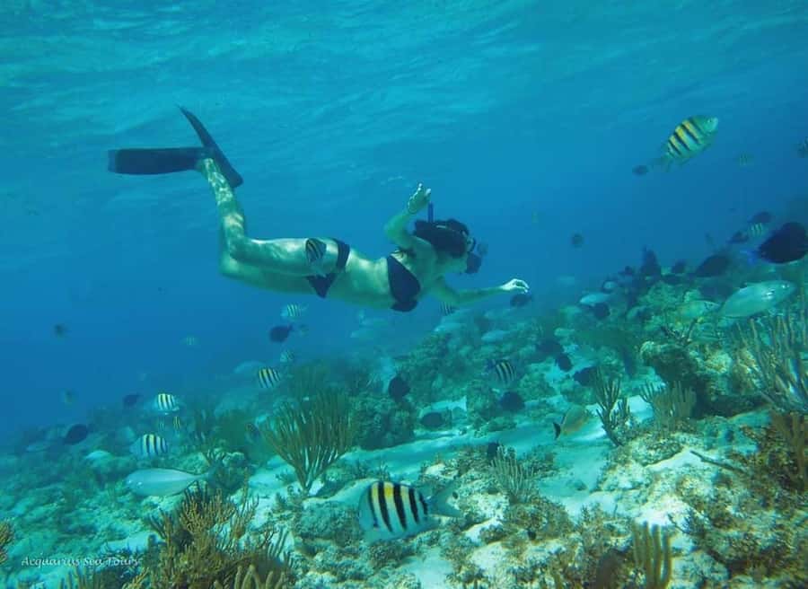 From Fajardo: Boat and Snorkeling in Culebra Island with All-Inclusive - Weather, Reroutes, and Being Ready for a Moving Target