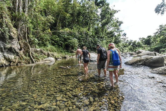 From San Juan: El Yunque Rainforest Hiking Adventure - Why This El Yunque Day Trip Works Best from San Juan