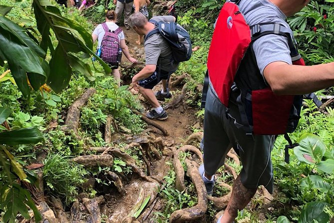 From San Juan: El Yunque Rainforest Hiking Adventure - Guide Energy and Safety: What Makes the Day Feel Smooth