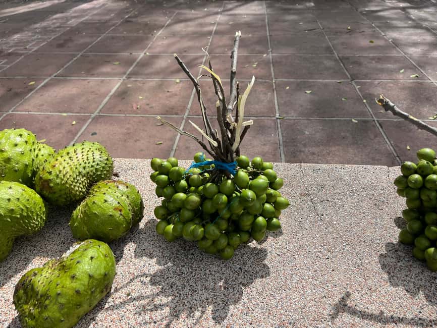 From San Juan: Full-Day Cultural Road Trip to Ponce - Optional upgrades: Art Museum, Music Museum, or Castillo Serrallés