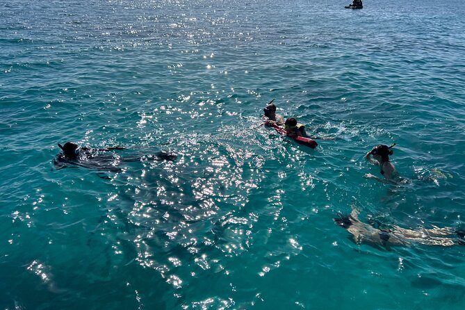 Full Charter All Inclusive for Icacos and Palomino - What You Get All Day: Drinks, Food, Snorkel Gear, and Beach Extras