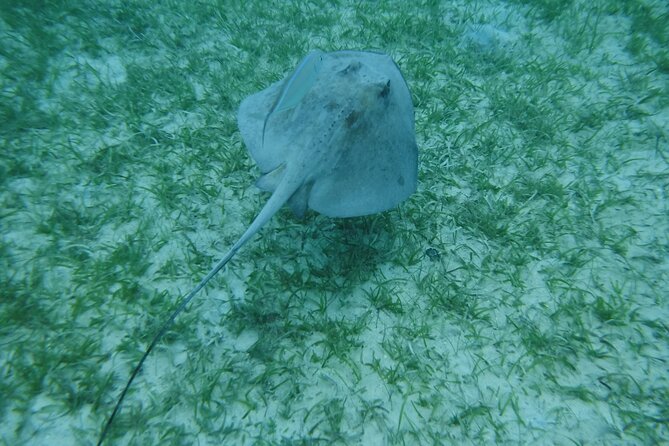 Full Day Charter from Fajardo to Culebra - Honeymoon Beach Anchor Day: Umbrella Shade and Floating Mats