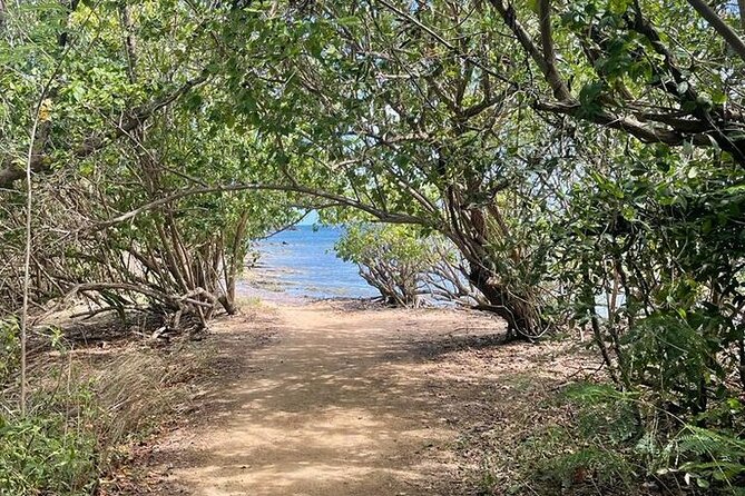 Full Day Eastern Island Tour - Eastern Puerto Rico In One Full Day: What the 8 Hours Feel Like