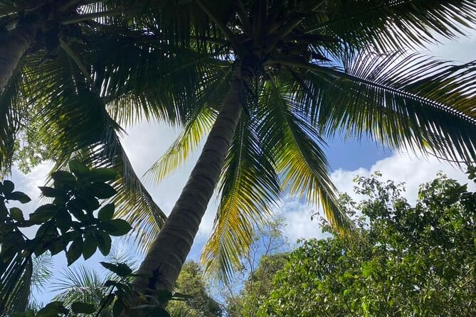 Full Day Eastern Island Tour - Chitty Taxi Beach and Food Area Near Restaurants