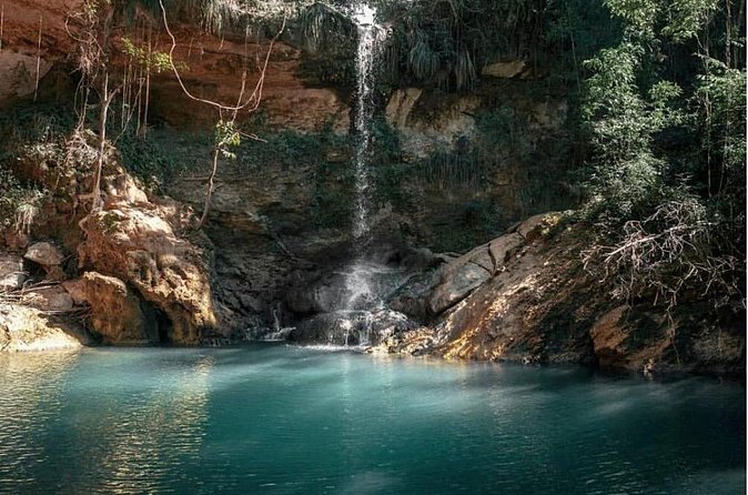 Full-Day Gozalandia Private Tour in Puerto Rico - Price and value for a private group up to 6
