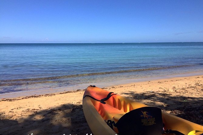 Full-Day Kayak Adventure – Explore Fajardo’s Crystal-Clear Waters - Key highlights worth planning for