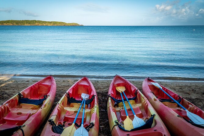 Full-Day Kayak Adventure – Explore Fajardo’s Crystal-Clear Waters - The route in practice: coves, mangroves, and beach time