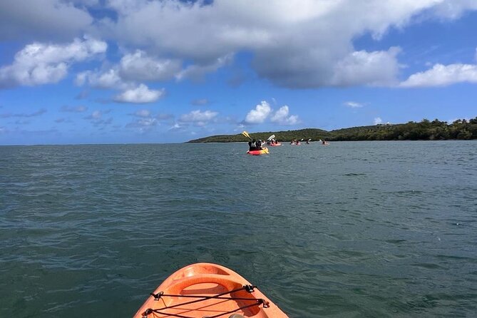 Full-Day Kayak Adventure – Explore Fajardo’s Crystal-Clear Waters - Who this fits best (and who should think twice)