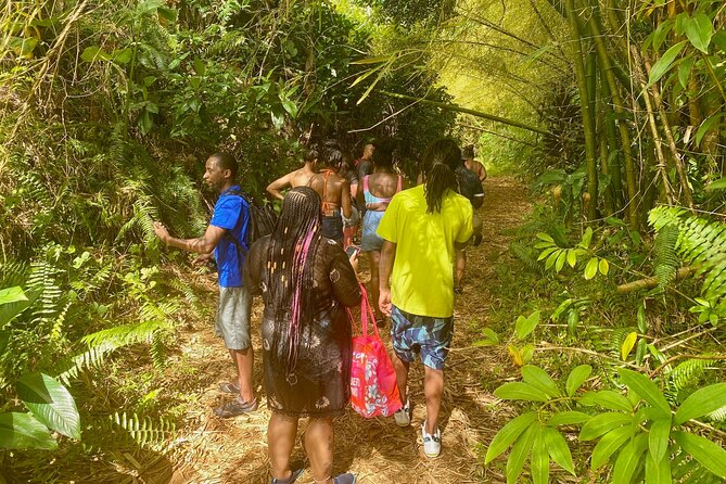 Full-Day Private Tour to Tinajas Waterfalls in El Yunque - Price and Value: What $700 Means for a Private Group