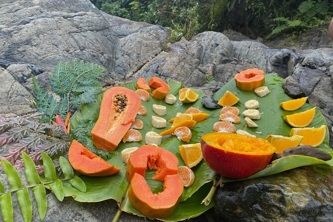 Full-Day Private Tour to Tinajas Waterfalls in El Yunque - What’s Included, What’s Not: Snacks and the Lunch Gap