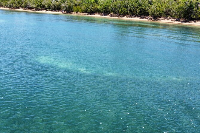 Full-Day Snorkeling Gear Rental in Puerto Rico - What You’re Really Getting at Cabezas de San Juan