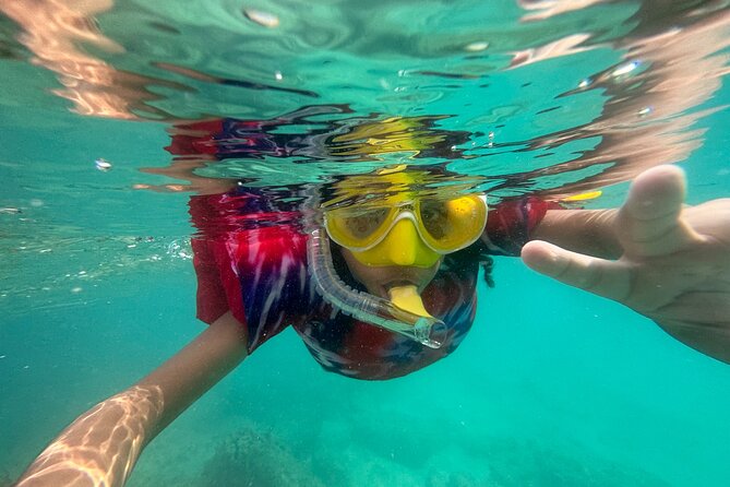 Full-Day Snorkeling Gear Rental in Puerto Rico - Your Self-Guided Reef Time: Pick a Window and Go