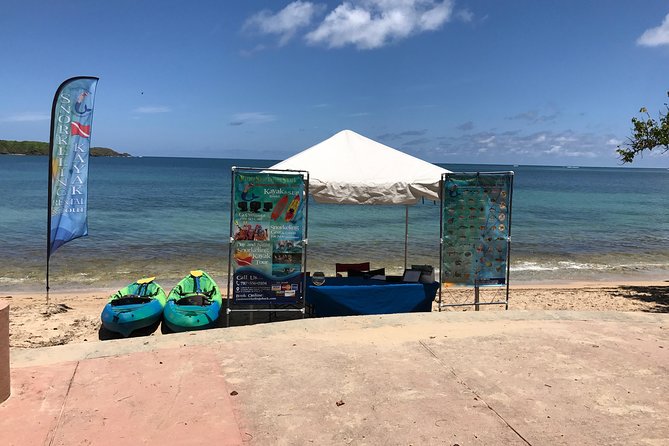 Full-Day Snorkeling Gear Rental in Puerto Rico - Marine Life Expectations: What’s Likely, What’s Not Guaranteed