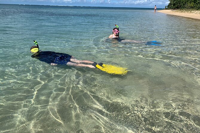 Full-Day Snorkeling Gear Rental in Puerto Rico - Price and Value: Why $34 Can Be a Good Deal
