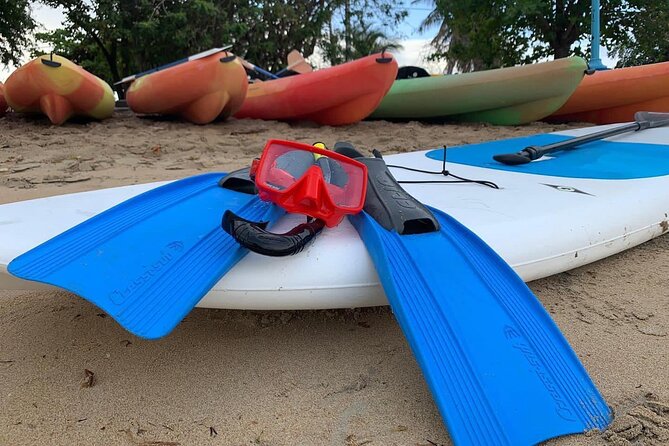 Full-Day Snorkeling Gear Rental in Puerto Rico - Meeting Point and Timing: The Simple Logistics That Matter