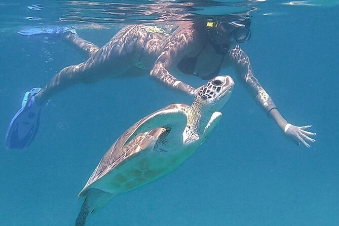 Full-Day Snorkeling Tour to Culebra Island with Lunch - Price and value: is $168.37 fair for this day?