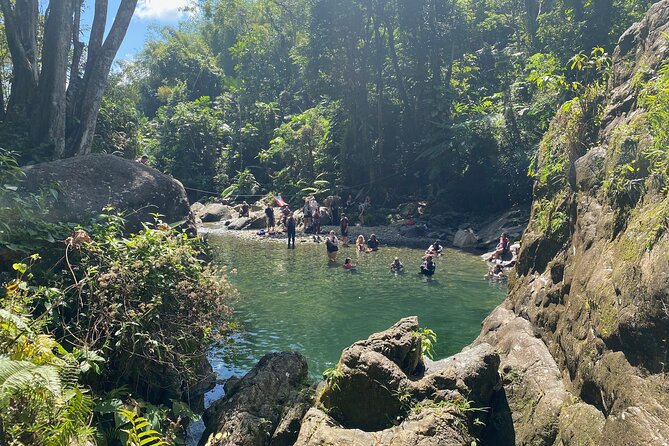 Full-Day Tinajas Hiking to El Yunque Rainforest with Transport - Pickup from San Juan and how the timing actually works
