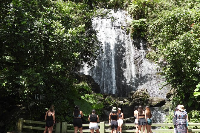 Full-Day Tour: El Yunque, Luquillo Beach, Bio Bay Night Kayaking - Key points before you go