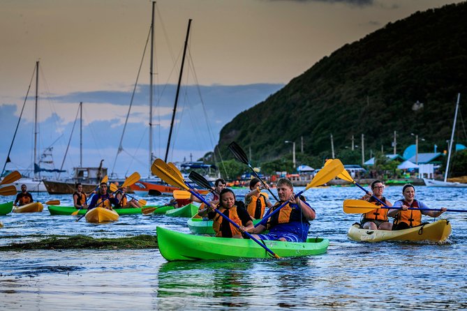 Full-Day Tour: El Yunque, Luquillo Beach, Bio Bay Night Kayaking - La Coca Falls: a quick stop with real height