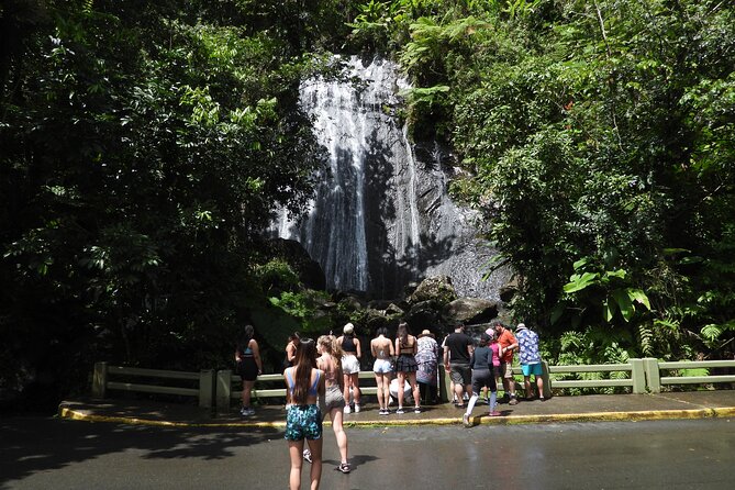 Full-Day Tour: El Yunque, Luquillo Beach, Bio Bay Night Kayaking - Price and timing: is $155 really value for what you get?
