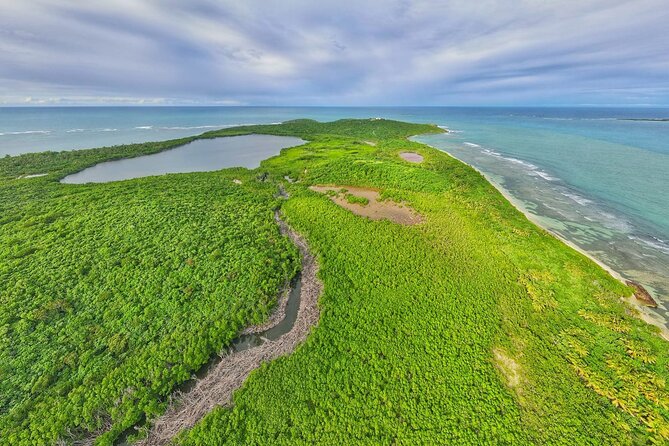 Full-Day Tour: El Yunque, Luquillo Beach, Bio Bay Night Kayaking - Who this tour suits best