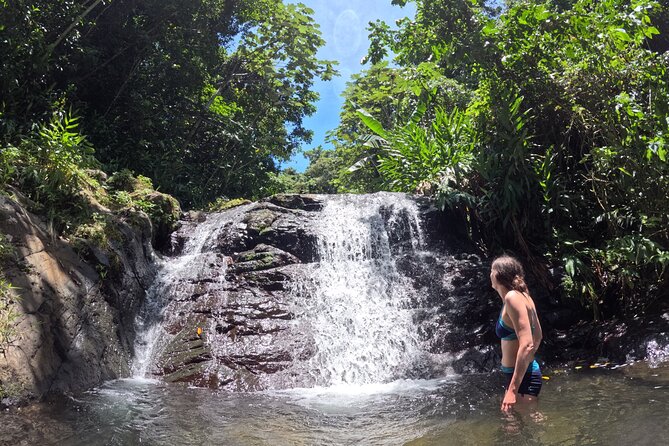 Full Day Waterfalls of Puerto Rico: Central Mountains Escape - Cordillera Central Waterfalls: The Mountain Escape You Can Actually Do