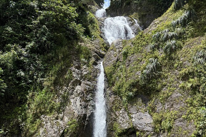 Full Day Waterfalls of Puerto Rico: Central Mountains Escape - Stop 5: Toro Negro State Forest for Mountain Atmosphere and View Stops