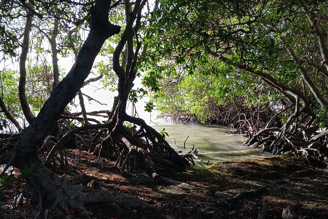 Full Day West Coast Adventure in Puerto Rico - Playa El Combate: the day’s relaxing middle, with gear that saves effort