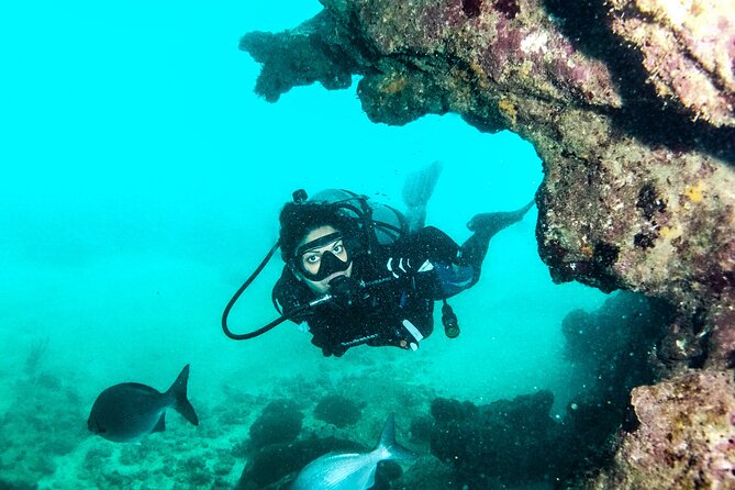 Get SCUBA Certified at San Juan - Escambrón Marine Park: a Protected Bay for First-Time Skills