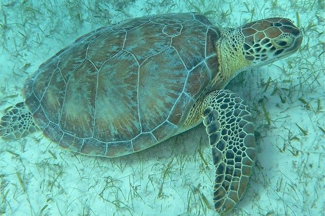 Get SCUBA Certified at San Juan - Weather and Safety: The One Factor That Can Change Your Schedule