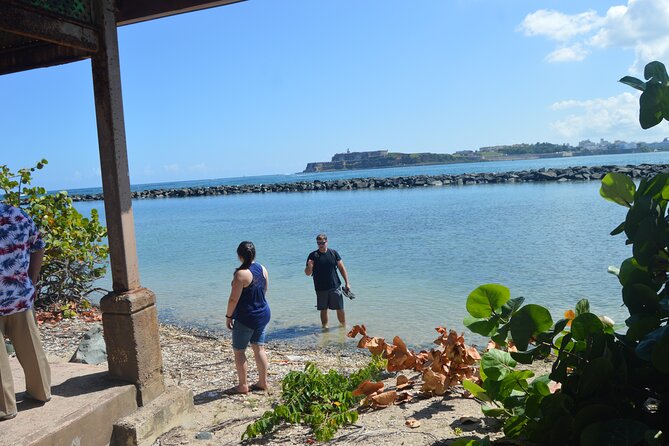 Half-Day Center of Puerto Rico Cultural Tour - Morning logistics: 8:00 am pickup and a comfy van for up to 10
