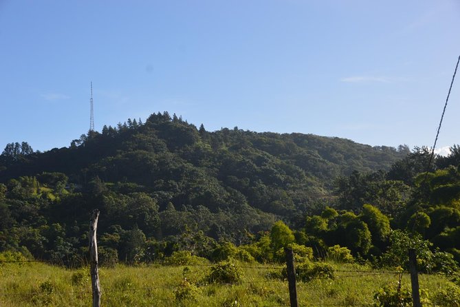 Half-Day Center of Puerto Rico Cultural Tour - Your guide turns road time into a real culture lesson