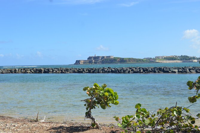 Half-Day Center of Puerto Rico Cultural Tour - Lunch in the mountains: good food, your cost, and a local pace