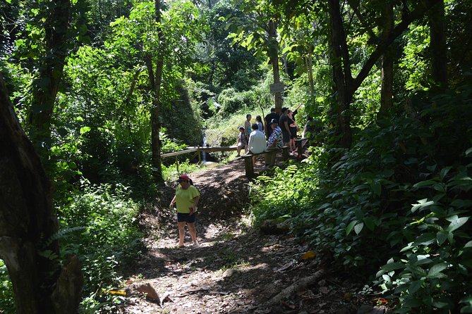 Half-Day Center of Puerto Rico Cultural Tour - Price and value: why $80 can beat renting a car for a half-day