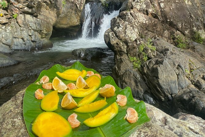 Half-Day El Yunque and Waterslides Adventure from Fajardo - Price and Value: What $74.99 Buys You