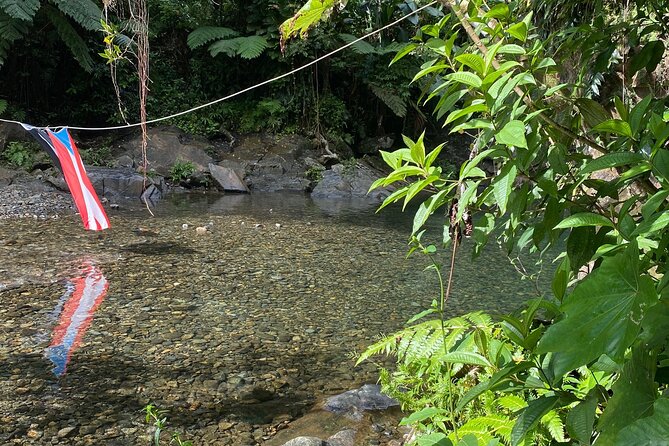 Half-Day El Yunque and Waterslides Adventure from Fajardo - What to Bring for a Slippery Hike and Wet Fun