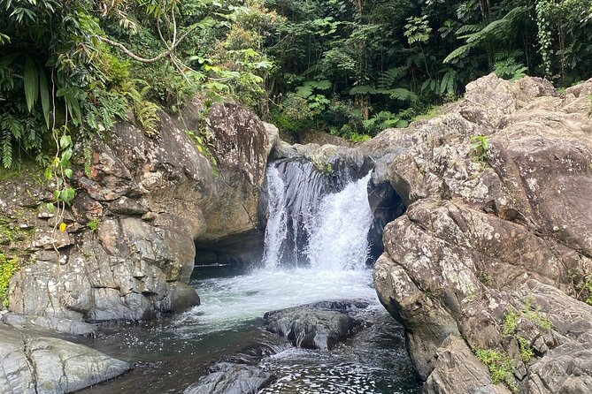 Half-Day El Yunque and Waterslides Adventure from Fajardo - Meeting in Fajardo: The Rental-Car Reality