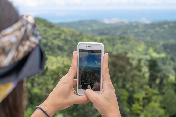 Half-Day El Yunque National Forest Tour from San Juan - First stop: entering El Yunque National Forest (and what you’ll notice)
