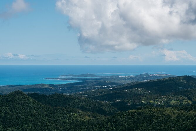Half-Day El Yunque National Forest Tour from San Juan - Catarata La Coca: a short waterfall stop that’s actually worth it