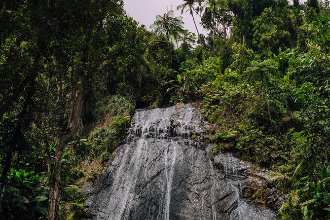 Half-Day El Yunque National Forest Tour from San Juan - Torre Yokahu: views over Luquillo and Fajardo, plus a real trail moment