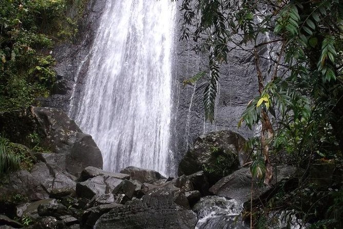 Half-Day El Yunque National Forest Tour from San Juan - Comfort, group size, and what to pack (since there’s no luggage space)
