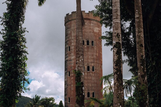 Half-Day El Yunque National Forest Tour from San Juan - Pickup and timing: how the 5 hours actually play out