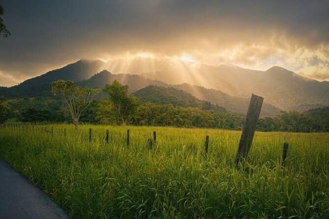 Half Day El Yunque Tour, Waterslide and Rope Swing - Key things that make this tour worth your afternoon